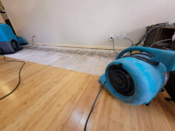 Professional Sewage Cleanup technician working in Riverside, OH